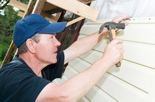 Best Historical Building Siding Restoration  in Clarence, IA