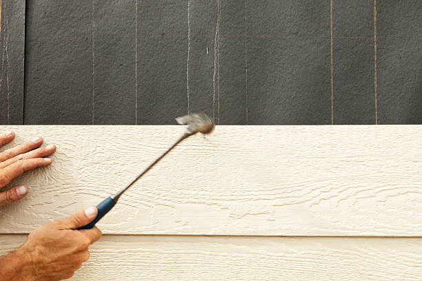 Best Weatherproofing and Sealing  in Clarence, IA